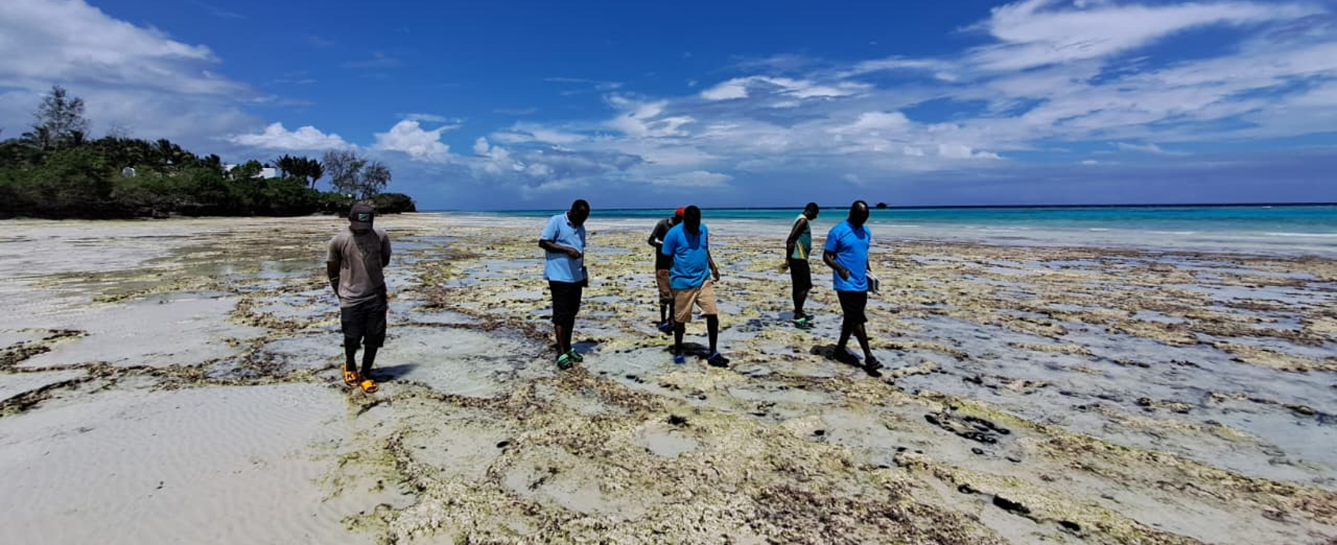 Dynamic Content Image