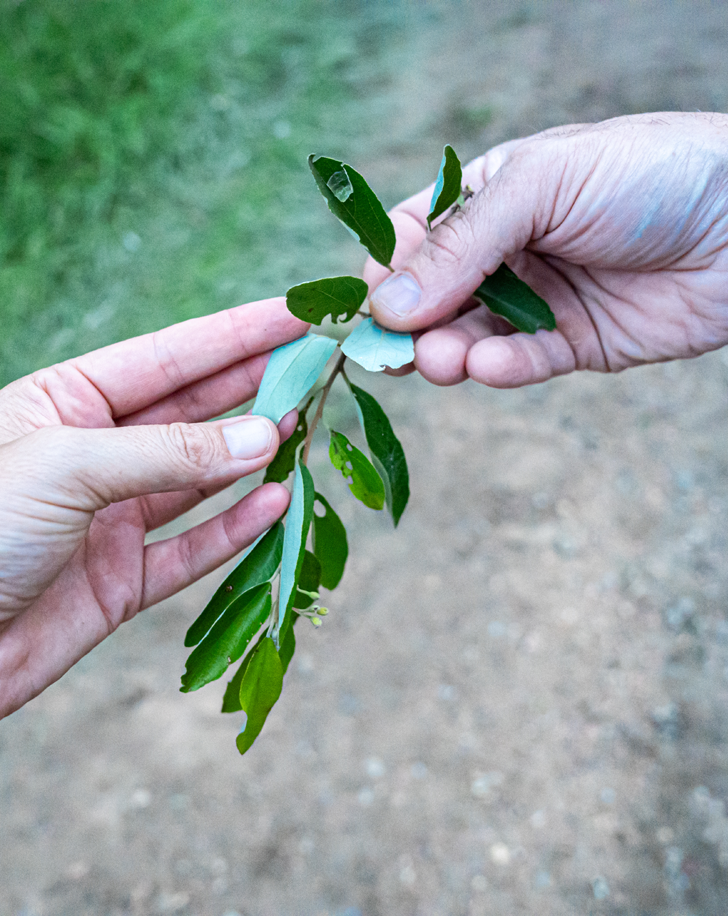 Dynamic Content Image